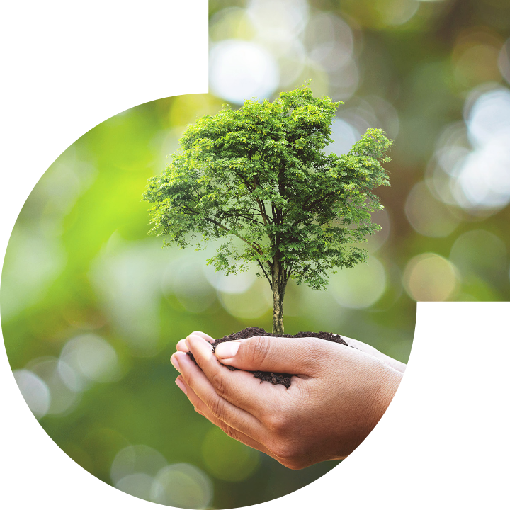 关怀人类、文化、环境与社会